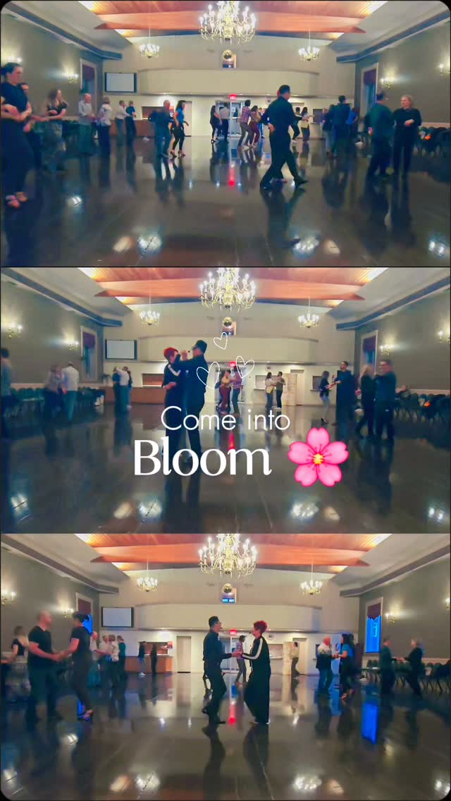 Come into Bloom 🌸

Some moments are meant to be lived.

Most people think they need to feel ready before stepping onto the dance floor.

You don’t.

Start now → Feel ready for your first social dance experience by Week 4.

No partner needed. Beginner-friendly.

📍 Burlington
👉 Link in bio to get started

#BurlingtonON
#HamiltonOntario
#OakvilleON
#DanceClasses
#SalsaDance