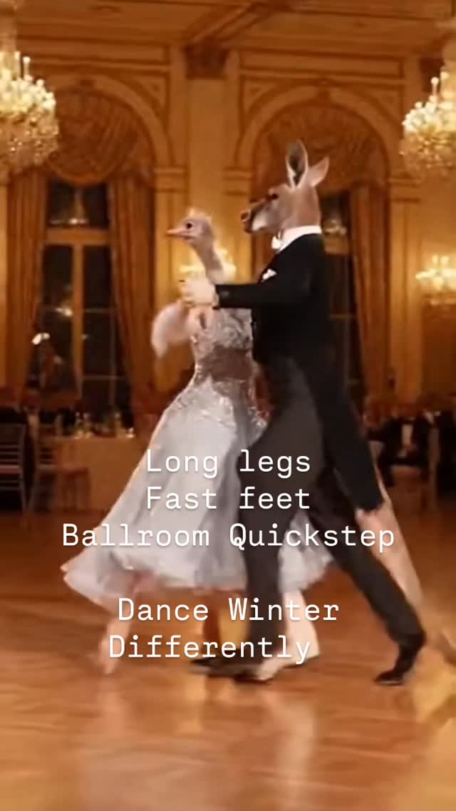 Long legs
Fast feet
Ballroom Quickstep

Dance Winter Differently.