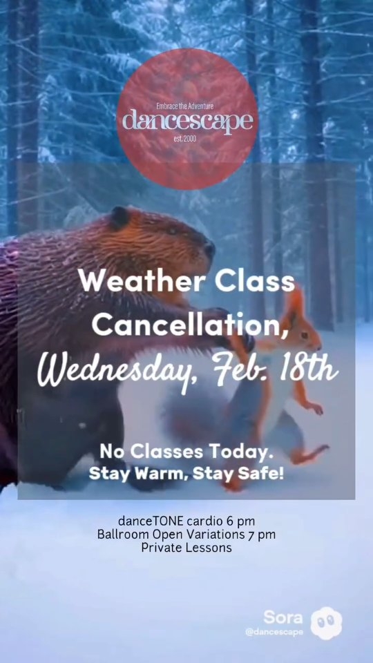 ❄️ CLASS CANCELLATION NOTICE - Wed., Feb. 18th❄️

Indoor classes: Cancelled.
But we’re still finding ways to dance. 🐾❄️

With freezing rain throughout the day/early evening in Burlington and surrounding areas, we’ve made the decision to cancel tonight’s:

• danceTONE – 6:00 PM
• Ballroom Open Variations – 7:00 PM
• Private Lessons

Your safety always comes first.

Still, we love the spirit of this community. Even when the weather forces a pause, the mindset doesn’t change. We adjust. We practice at home. We keep the rhythm alive.

In our imaginations tonight?

Quickstepping  across a frozen lake — steady, joyful, embracing winter instead of fighting it.

Because that’s what dancers do.

We adapt.
We stay steady.
We return stronger.

Resilient in every season. 💙

Stay warm and safe tonight. We look forward to seeing you back on the dance floor the rest of the week.

Dance Winter Differently.