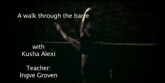 The Ballet Barre - The inevitable Ballet Basics