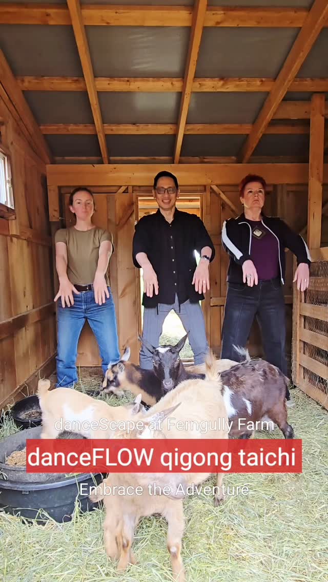 danceFLOW qigong taichi at Ferngully Farm - Honoured to Launch a new Season of the Ferngully Experience with danceScape Wedding Dance Student Alumni, Meg Brennan!
Stay tuned for interviews about her inspiring regenerative farm near Creemore, Ontario. Book a Farm Tour Experience with Meg today - meg@ferngullyfarm.com!