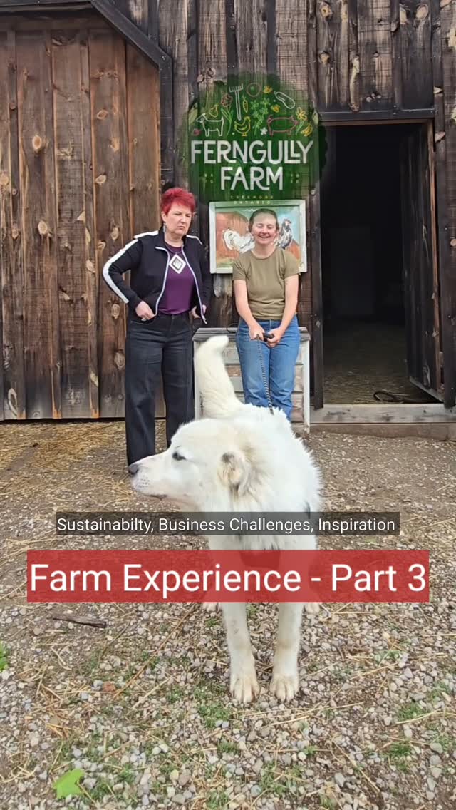 The Farm Life (Part 3) - New Season of @Ferngully_Farm Experience with danceScape Alumni, Meg, at her regenerative Farm in Creemore, Ontario. Visit other Eco-Conscious Creemore businesses like @thekeeprefillery_creemore.
Book a Farm Tour Experience with Meg today - meg@ferngullyfarm.com!