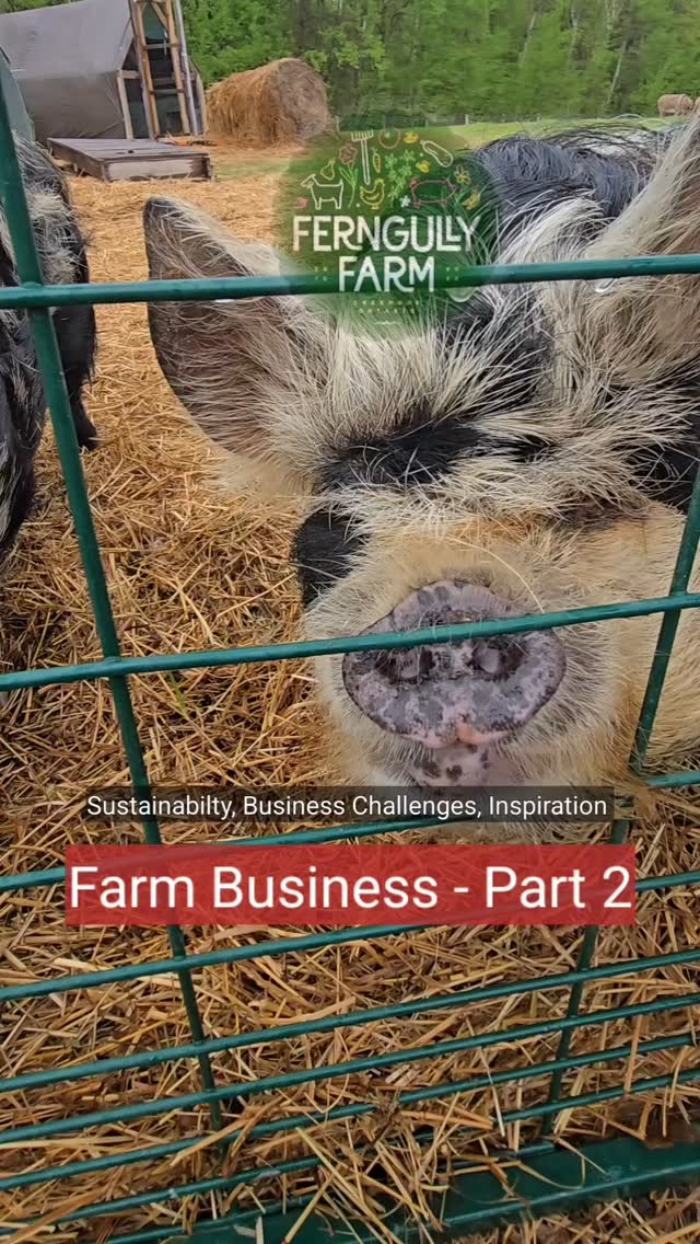 The Business of Farming (Part 2) - Entrepreneurship, Communicating Core Values, Brand Experience, Social Media, Leveraging Technology @Ferngully_Farm with danceScape Alumni, Meg, at her regenerative Farm in Creemore, Ontario. Meg left the corporate life in Marketing & Sales at Pepsico Canada to pursue her passion for sustainability and regenerative farming. To book an Inspirational Farm Experience, Email meg@ferngullyfarm.com.