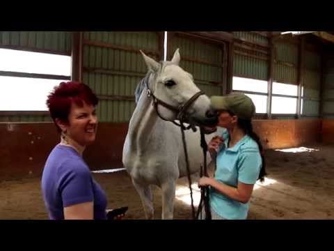 Coby the Horse is Excited about Learning to Dance! What's on YOUR Bucket List? 