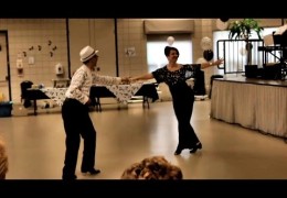 @danceScape Swing into Spring Afternoon Fundraiser, Burlington Centre