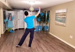 Spring 2020 Staycation - LIVE Online danceTONE/danceFLOW Fitness Classes (Vienna, Day 14-21) — Subscribe to our Video App for Class Replays