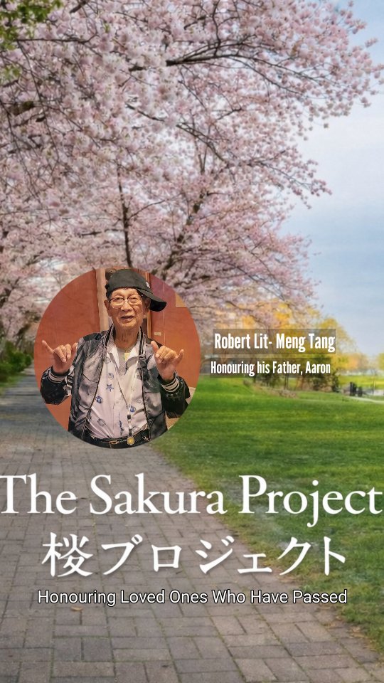 🌸 The Genesis of The Sakura Project

This video was recorded during the Celebration of Life for Robert’s father, Aaron Kok Chew Tang
October 22, 1935 — October 28, 2025.

During that gathering, Robert shared a reflection that would later become the beginning of The Sakura Project.

As a young man, Robert remembered hearing a song called Sakura. For many years he thought it was a love song about a woman named Sakura.

Only later did he learn that Sakura refers to the cherry blossoms of Japan — flowers that bloom beautifully but only for a short time.

In Japanese culture, the blossoms are often associated with mono no aware — the gentle awareness of impermanence and the beauty of passing things.

That idea stayed with him.

During the months when his father was in long-term care, Robert often spoke with his sister, Selina,  about taking him to see the cherry trees at Spencer Smith Park in Burlington. They imagined sitting together by the lake beneath the blossoms when spring arrived.

That visit never happened.

But after his father passed away, Robert realized that perhaps the moment could still exist — not just as a private memory, but as something shared with the community.

From that reflection, The Sakura Project was born.

🌸

Each spring, when the cherry blossoms bloom, we invite the community to gather beneath the trees for a quiet moment of remembrance.

There is no formal program.
No speeches.

Only presence.

Some may come remembering a parent, partner, friend, mentor, or ancestor. Others may simply pause beside the lake and reflect on the people who shaped their lives.

If enough people feel inspired, we may also share a gentle impromptu danceFLOW qigong / tai chi–inspired movement experience — a simple way to breathe, move, and reflect together beneath the blossoms.

Because in many ways, the people we love continue to live through the stories we share.

🌸 The Sakura Project Gathering
📍 Spencer Smith Park — Burlington
🗓 Saturday, May 2, 2026
⏰ 10:30 – 11:15 AM

Hosted by Robert & Beverley — danceScape

RSVP:
https://www.dancescape.org/sakuraproject/⁠�

#SakuraProject
#MonoNoAware
#SpencerSmithPark
#BurlingtonON
#StoriesThatContinue
AaronTang