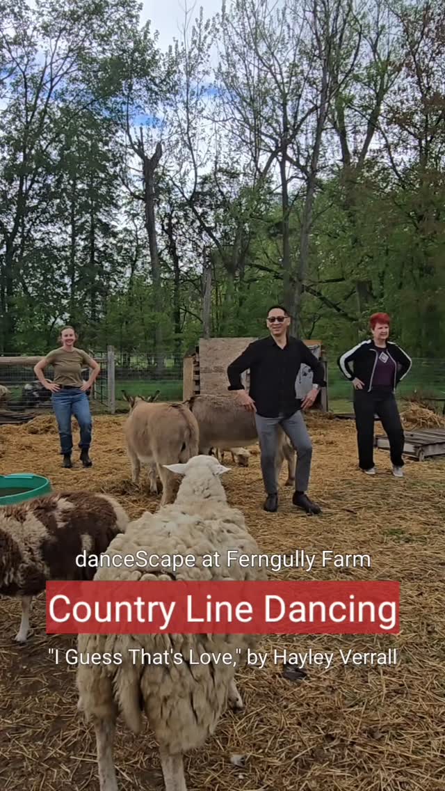 Country Line Dancing at Ferngully Farm - Honoured to Launch a new Season of the Ferngully Experience with danceScape Wedding Dance Student Alumni, Meg Brennan!
Stay tuned for our full interview about her inspiring regenerative farm near Creemore, Ontario. Book a Farm Tour Experience with Meg today - meg@ferngullyfarm.com!
(We could not resist dancing to our Line Dance created for "I Guess That's Love" by our awesome friend... Country Music Artist, Hayley Verrall. Hayley has some new Singles coming out soon!)