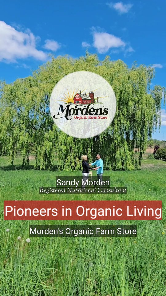 🚜💚 This Local Farm Is Changing the Way We Eat (and You’ll Want to Visit Today!)
Ever wonder where your food really comes from? Meet Sandy from Morden’s Organic Farm Store — a six-generation Organic Living Pioneer providing Wild & Farm Meats and Free-Run, Free-Range & Pastured Eggs on 12 gorgeous acres in Dundas.
👩🌾 From accountant to organic trailblazer, Sandy’s story starts with health struggles and ends with healing — not just for her, but for our whole community. 🌿✨
🥚 REAL Eggs. REAL Standards.
Pastured (not just “free-run”)
Soy-free, gluten-free, allergen-friendly
Local, ethical, and transparent
🐐 Surprise: There Are Baby Goats.
Yep. Morden’s is now open SUNDAYS, and it’s the perfect spot for families to explore, learn, and reconnect with where real food comes from.
🔥 Why this matters:
Understand what you're eating
Support local farmers
Meet a pioneering woman who changed the farming game
📍 Just 10 mins from Burlington. 5 from Ancaster & Dundas.
Come for the goats. Stay for the truth about food. 🍳💥
🛒 Now Open Sundays!
Morden’s Organic Farm Store | 10AM–4PM (Sundays through Thanksgiving)
📅 Mon–Sat: 10AM–4PM
👉 Tag a friend who needs a farm day. Save this for your next adventure!
#MordensOrganicFarm #PasturedNotProcessed #SupportLocal #KnowYourFarmer #FarmSundays #OrganicLiving #WomenInAg #CleanEats #GlutenFreeCanada #BabyGoatVibes #DanceScapeWellness #FarmToInspo