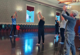 danceFLOW qigong/taichi LIVE (Fall 2023) — Video Replay Access