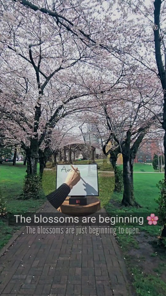 The blossoms are just beginning to open.

By Saturday they will reach their peak… and then they will fall.

I walked under these cherry trees and wrote my father’s name on the water ink board.

It appeared beautifully… held for a moment… then slowly dissolved.
He used to light up telling us his magic stories — performing for the King of Malaysia, the general who invited him.

Over time those stories grew shorter… until they almost disappeared.

That fear of forgetting — and of being forgotten — is so deep.

But when we share the stories, we bring them back. Even if only for a moment.

This is why the Sakura Project exists.

🌸 Sakura Project
Saturday, May 2 · 10:30–11:15 AM
Spencer Smith Park — cherry trees by the lake
(rain → gazebo)

A simple, quiet gathering to remember loved ones and soak in the moment. No pressure. Just presence. Gentle danceFLOW walk if you feel inspired.

Full details + RSVP in first comment 👇

Comment 🌸 if this touches your heart.

Tag someone you want to remember with you 💛

The blossoms won’t wait — and neither should the stories we love.