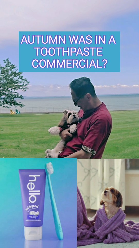 ❤️ FROM A TOOTHPASTE COMMERCIAL... TO A VIRAL DANCE FROM ASIA

First, Autumn @autumnhavanese appeared in a @helloproducts hello whipped toothpaste commercial. 🐶🎥

Now she’s helping Robert get ready for a very different performance...

A viral Mandopop line dance that danceScape has been invited by @redleaf_cultural_integration to teach at Chinese Rhythm & Taste — eat make share: dine & dance on Saturday, July 18 at Joseph Brant Museum. 💃

Apparently, appearing on camera runs in the family. 😂

From commercial sets to viral dance videos.

Different cultures. Familiar rhythms.

🎉 Coming to Chinese Rhythm & Taste?

Email support@dancescape.com for access to our special pre-event lesson so you can learn the dance before you arrive.

Then come dance it together with us. ❤️

#ChineseRhythmAndTaste #AutumnHavanese #danceScape #EatMakeShare #BurlingtonEvents
